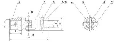 WSD型單十字軸萬向聯(lián)軸器結(jié)構(gòu)圖