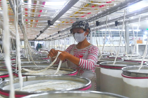 降本增效促發(fā)展