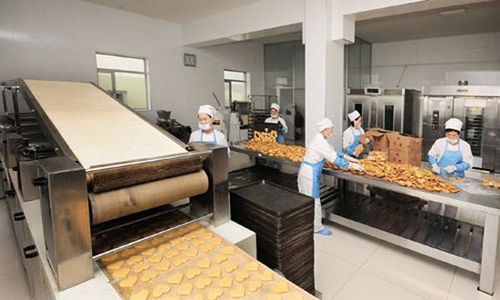 東北亞小鋪掌柜獨(dú)家爆料最新朝鮮社會(huì)動(dòng)態(tài)掠影,令人精神振奮